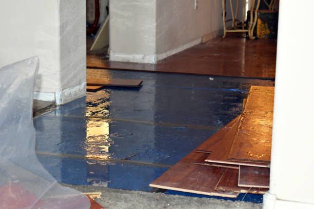 Professional Basement Water Removal technician working in Coral, MI